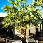 Casa Paloma With Heated Pool In El Roque * Cotillo