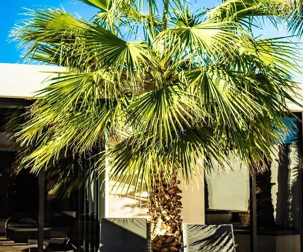 Casa Paloma With Heated Pool In El Roque * Cotillo